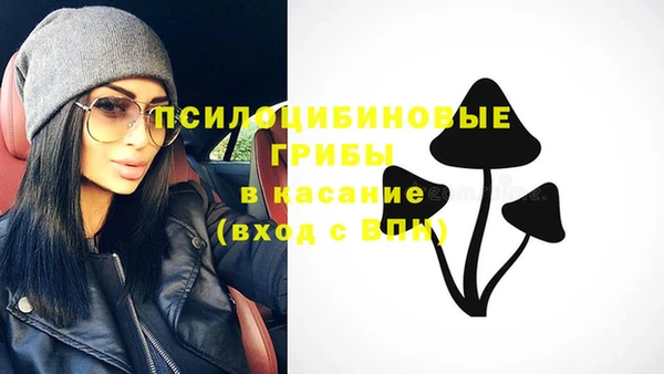 спайс Лагань