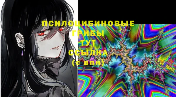 apvp Лабытнанги
