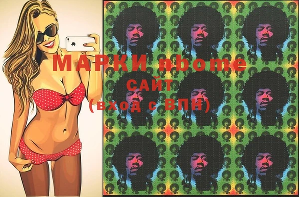 амф Ладушкин
