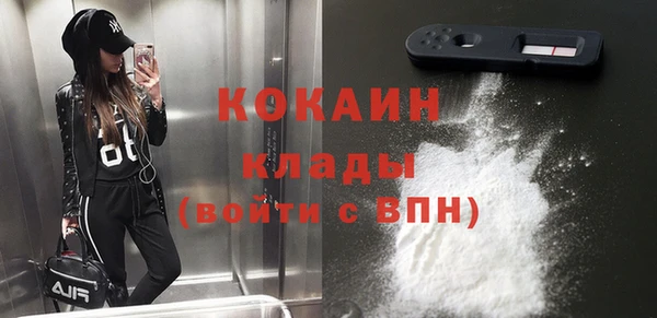 спайс Лагань